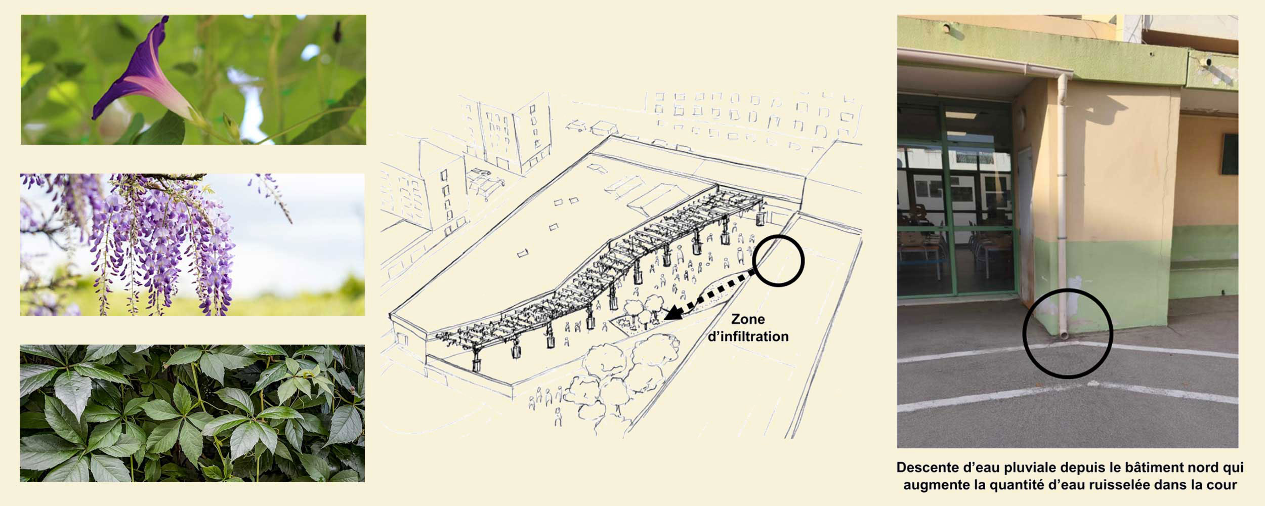 Principe de rénovation du centre commercial Le Millénaire